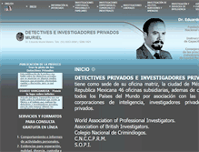 Tablet Screenshot of detectivesmuriel.com